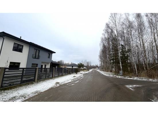 Piņķi, "Kiwi" by labamaja