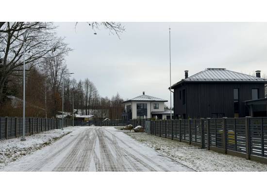 Babīte, "Mango 2" by labamaja