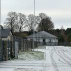 Babīte, "Mango 2" by labamaja