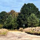 Laims, Ķekava by labamaja