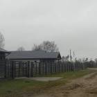 Babīte, Orange 2 by labamaja