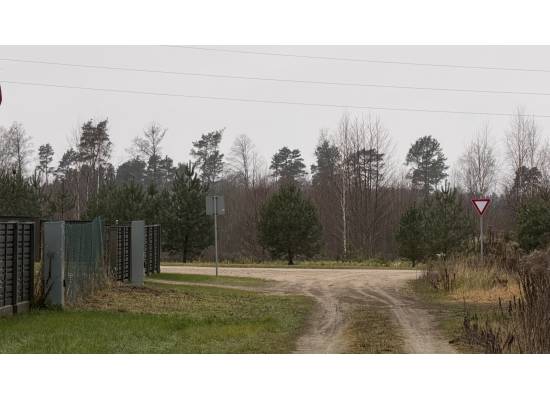 Babīte, Orange 2 by labamaja