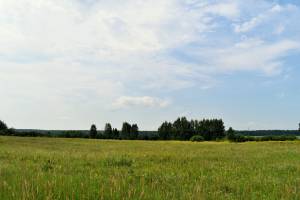 Grēnes, Jaunolaine