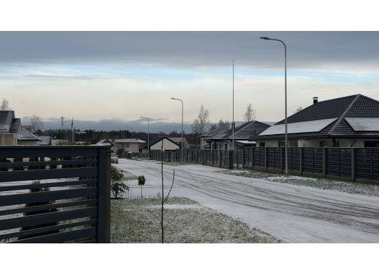 Babīte, "Mango 2" by labamaja