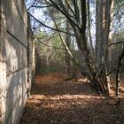 Ispašu-Grūbas, Olaine by labamaja