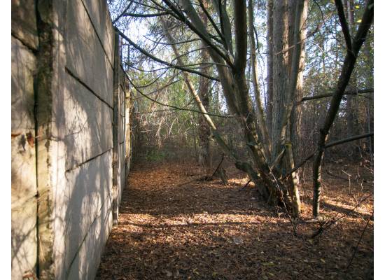 Ispašu-Grūbas, Olaine by labamaja