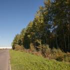 Ispašu-Grūbas, Olaine by labamaja