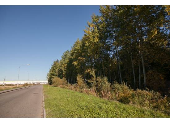 Ispašu-Grūbas, Olaine by labamaja