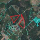 Salaspils, "Ķeizari" by labamaja