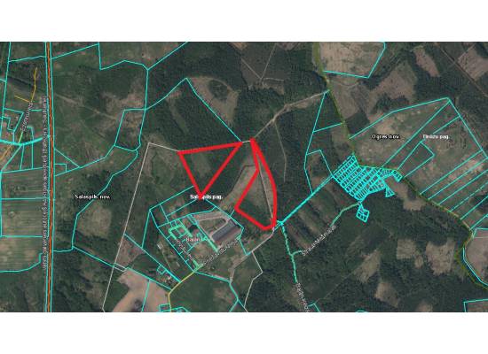 Salaspils, "Ķeizari" by labamaja