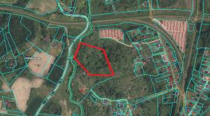 Koku iela 12, Rēzekne 4,5 ha