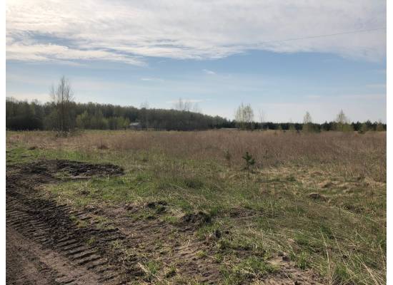 Lilitas, Mārupes novads by labamaja