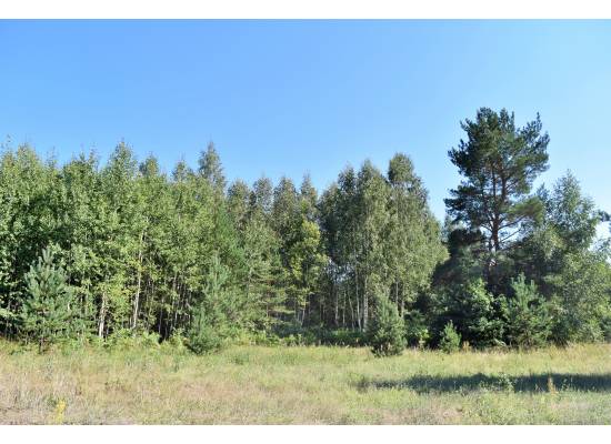 Laimes zeme, Ķekava by labamaja