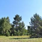 Laimes zeme, Ķekava by labamaja