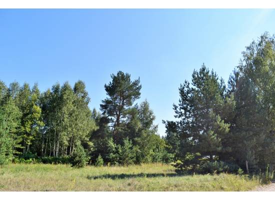 Laimes zeme, Ķekava by labamaja