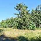 Laimes zeme, Ķekava by labamaja