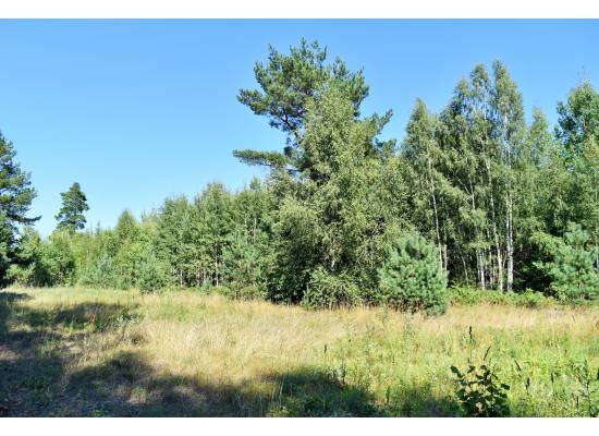 Laimes zeme, Ķekava by labamaja