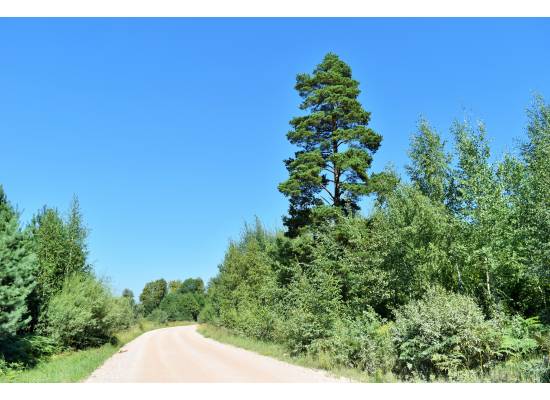 Laimes zeme, Ķekava by labamaja