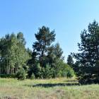 Laimes zeme, Ķekava by labamaja