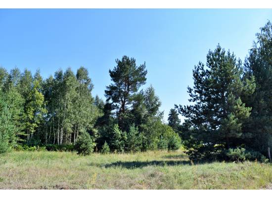 Laimes zeme, Ķekava by labamaja