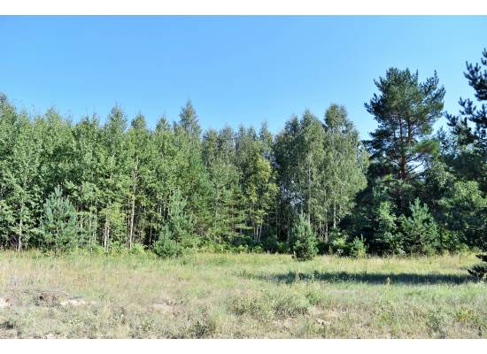 Laimes zeme, Ķekava by labamaja