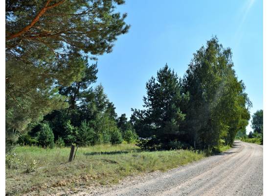 Laimes zeme, Ķekava by labamaja