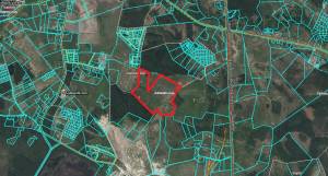 Magdalēnas, Salaspils 28,9 ha