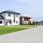 Mango, Babīte by labamaja