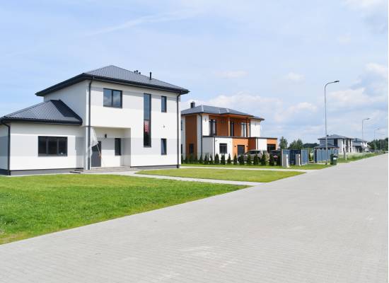 Mango, Babīte by labamaja