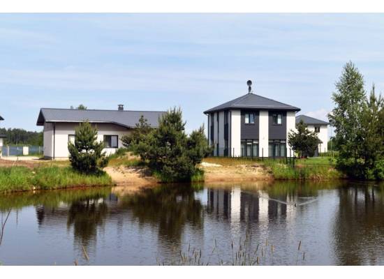 Mango, Babīte by labamaja