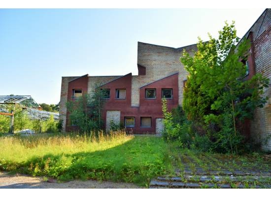 Meristēmas, Carnikava by labamaja