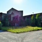 Meristēmas, Carnikava by labamaja