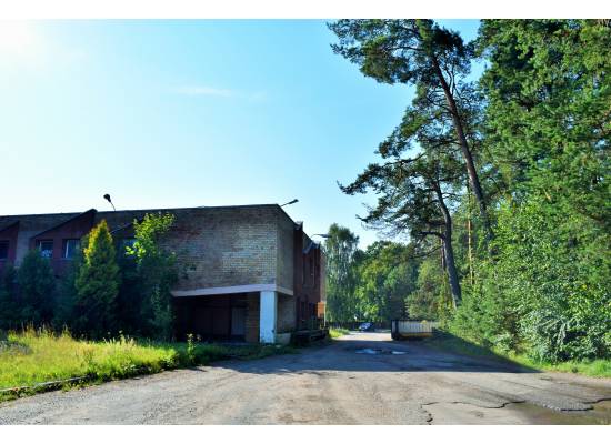 Meristēmas, Carnikava by labamaja