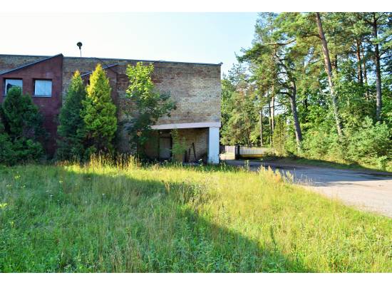 Meristēmas, Carnikava by labamaja