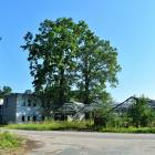 Meristēmas, Carnikava by labamaja