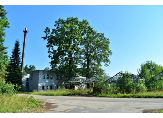 Meristēmas, Carnikava by labamaja