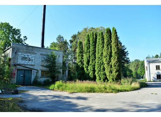 Meristēmas, Carnikava by labamaja