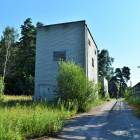 Meristēmas, Carnikava by labamaja