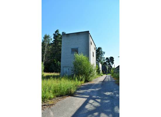 Meristēmas, Carnikava by labamaja