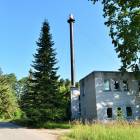 Meristēmas, Carnikava by labamaja