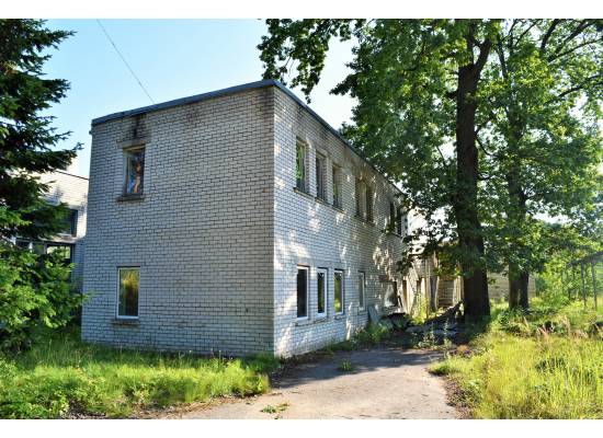 Meristēmas, Carnikava by labamaja