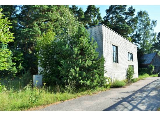 Meristēmas, Carnikava by labamaja