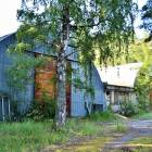 Meristēmas, Carnikava by labamaja