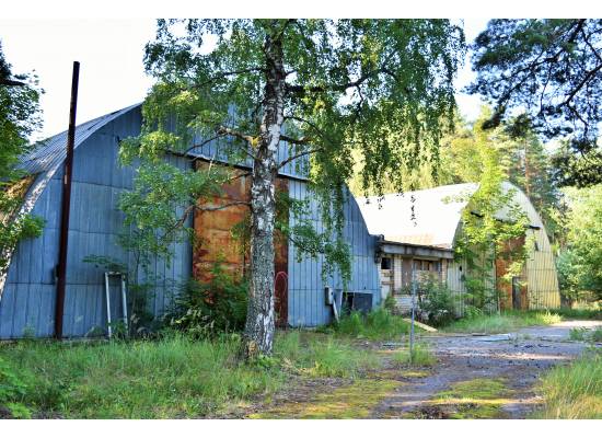 Meristēmas, Carnikava by labamaja