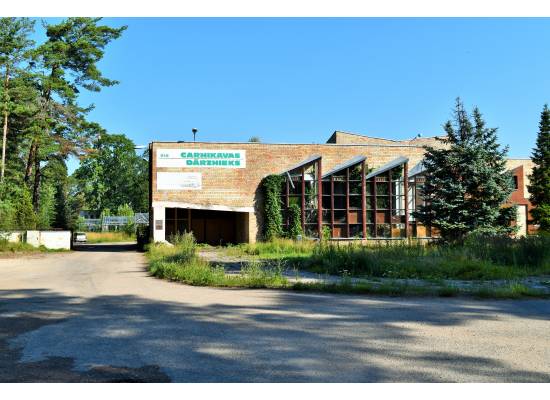 Meristēmas, Carnikava by labamaja