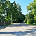 Meristēmas, Carnikava by labamaja