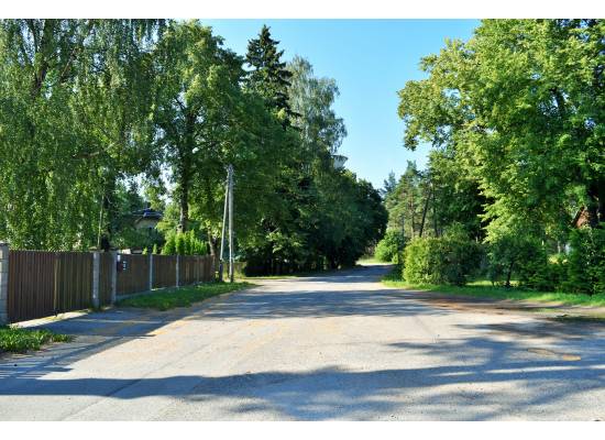 Meristēmas, Carnikava by labamaja