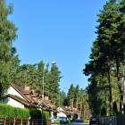 Meristēmas, Carnikava by labamaja