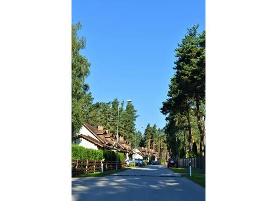 Meristēmas, Carnikava by labamaja