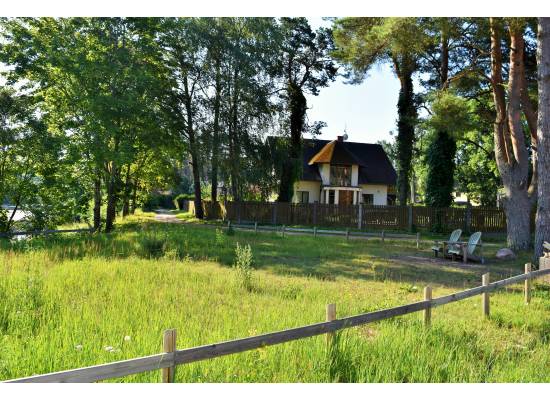 Meristēmas, Carnikava by labamaja